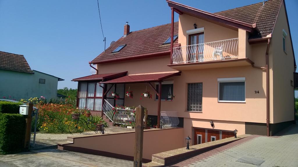 Ferienwohnung David Apartmanhaz Zalakaros Exterior foto